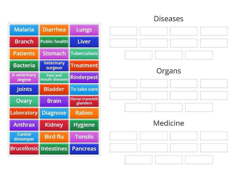 VETERINARY TERMS AND DEFINITIONS visual data 5