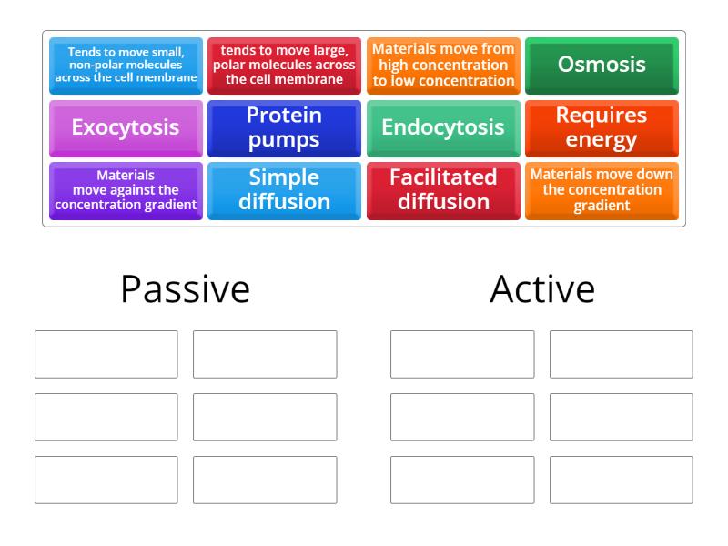 Passive Vs. Active - Group sort