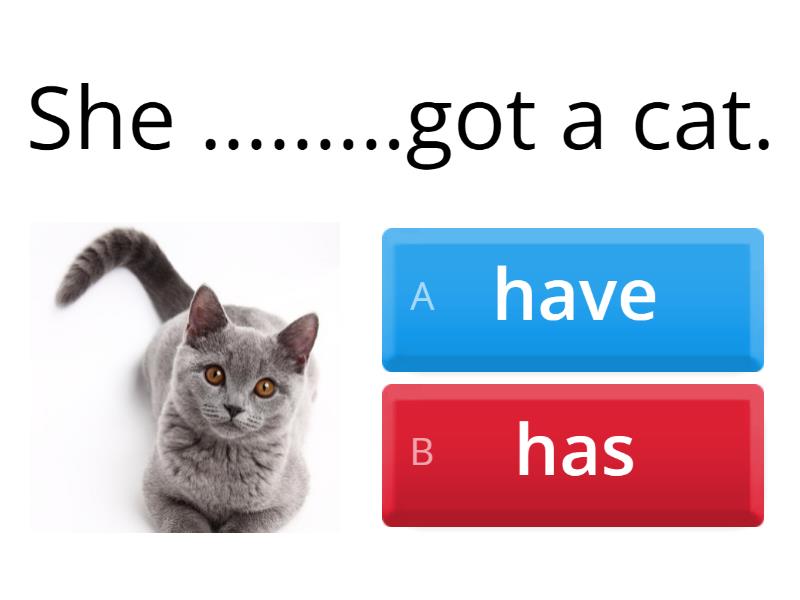 have got and has got - Kuis