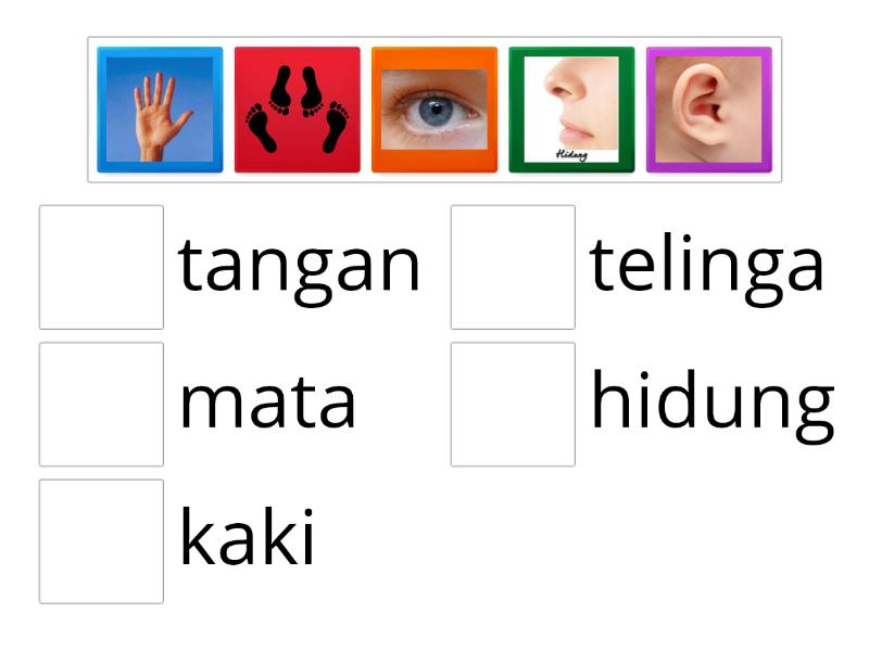 mencocokan gambar dengan tulisan - Match up