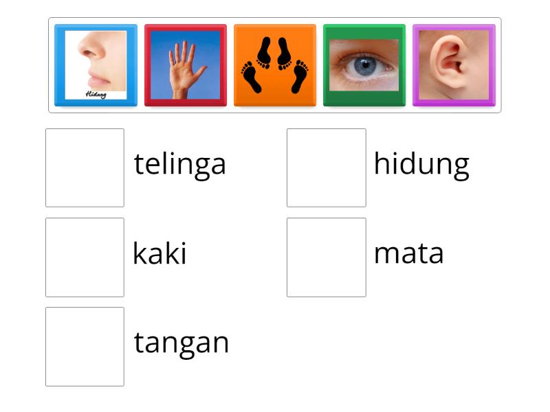 mencocokan gambar dengan tulisan - Match up