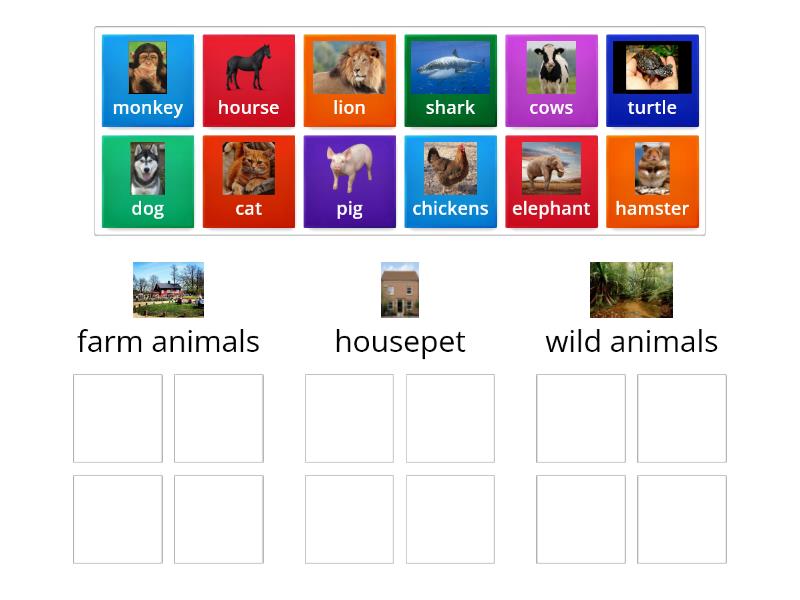 classify the animals - Group sort