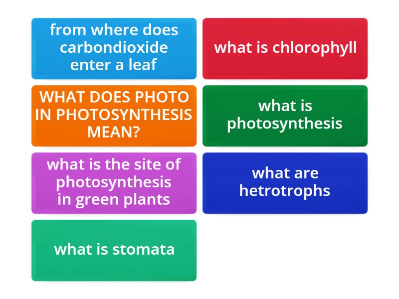 science-quiz-flip-tiles