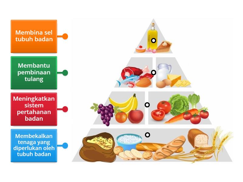 Fungsi & Kepentingan Makronutrien & Mikronutrien - Labelled diagram