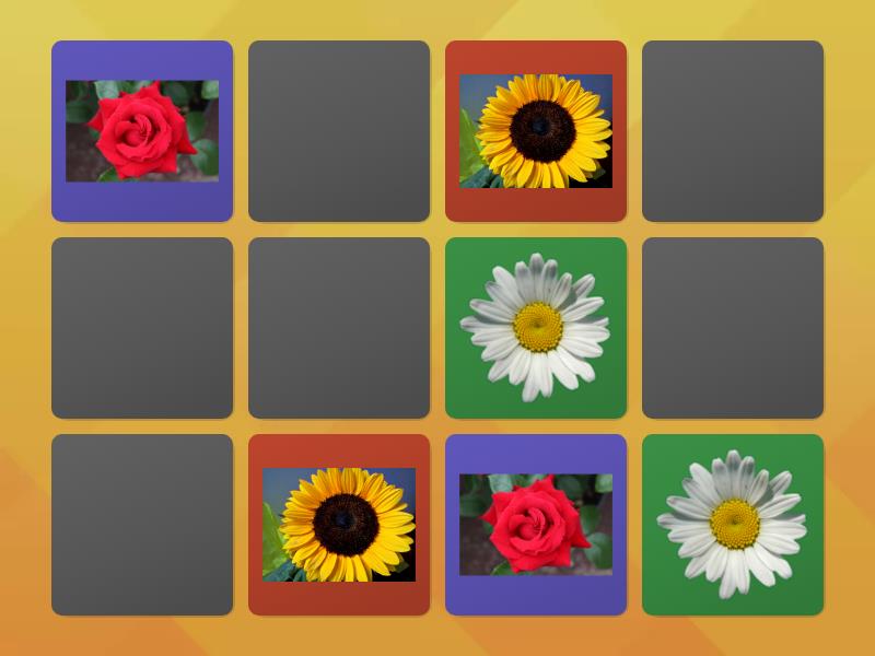 Jogo da Memória: Primavera - Matching pairs