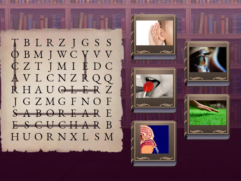 letras de taburete 5 sentidos