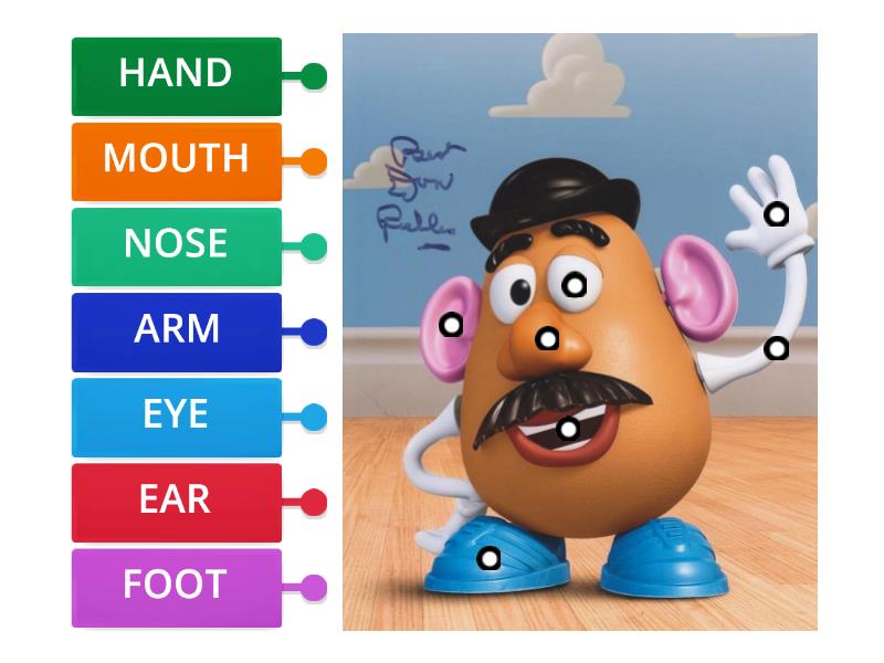 Mr. Potato Head Body parts Labelled diagram