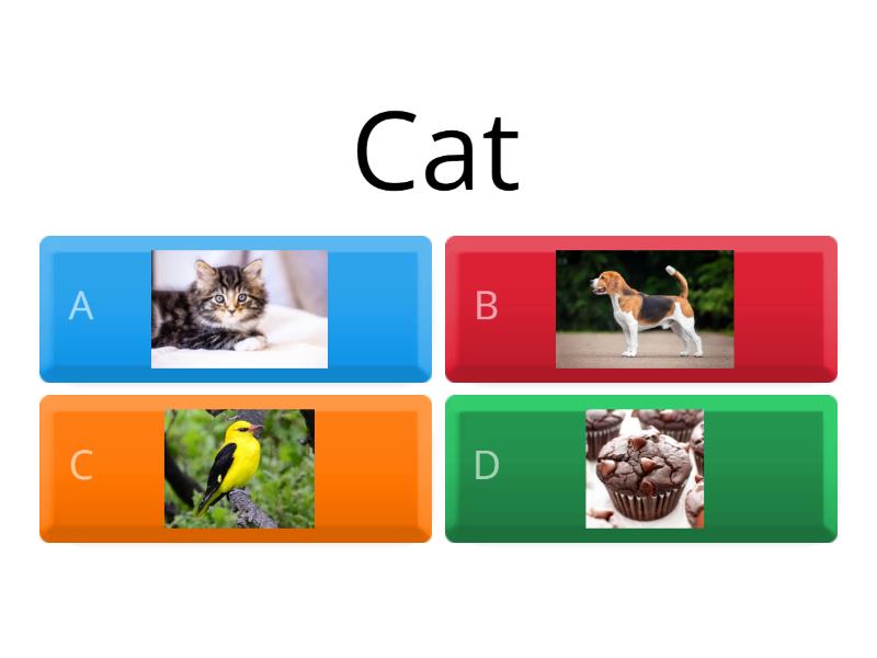 CVC & picture match - Quiz