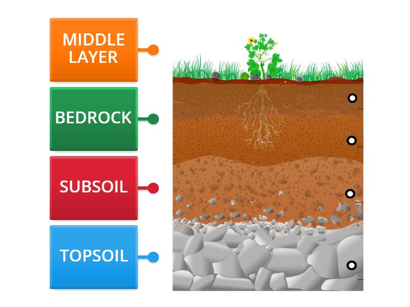 Soil Layers - Labelled diagram