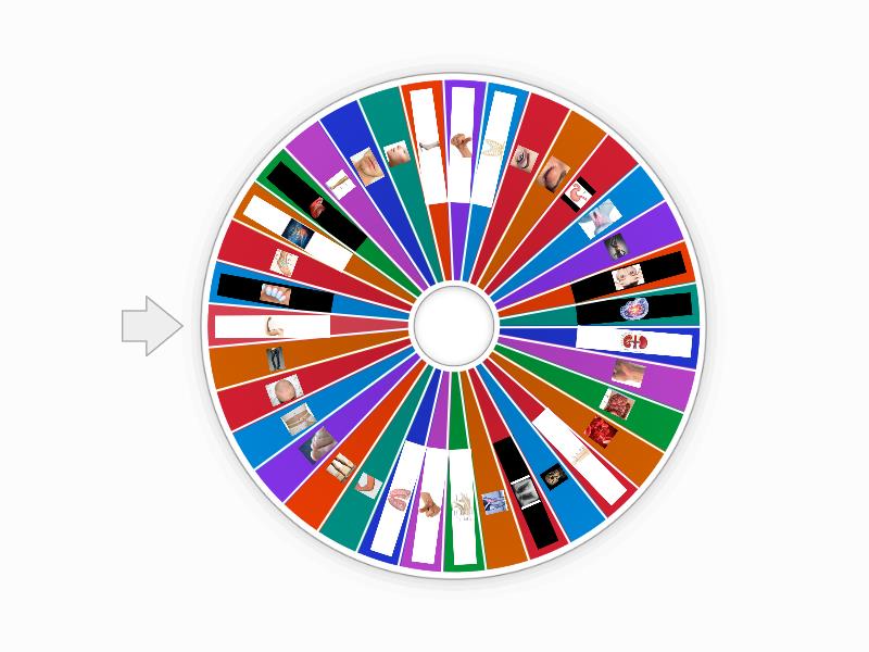 Solutions Intermediate 3A Parts of the body - Spin the wheel