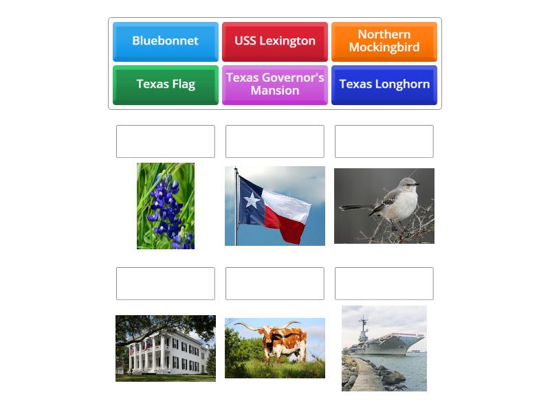 Texas symbols and landmarks - Match up