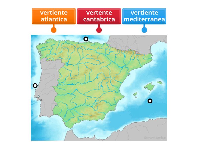 vertienetes - Labelled diagram