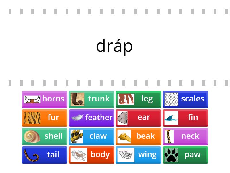 AJ7_ Bloggers 2 Unit 3A - Animal body parts - Find the match