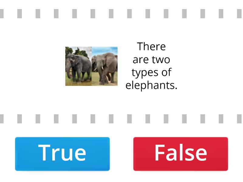 QUIZ ABOUT ELEPHANTS - True or false