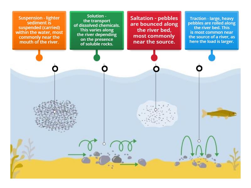 River Processes - Transportation - Labelled diagram