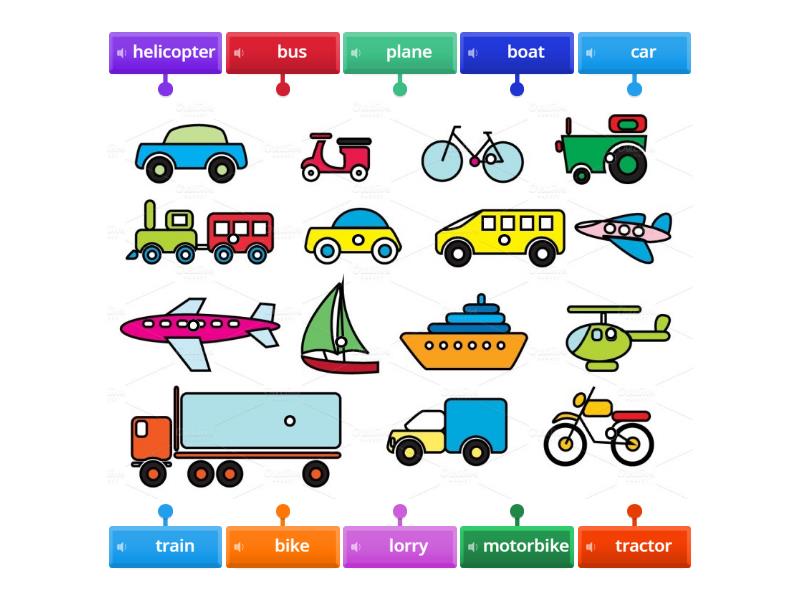 Transport - Labelled diagram