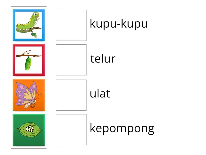 Menghubungkan gambar dengan kata - Match up