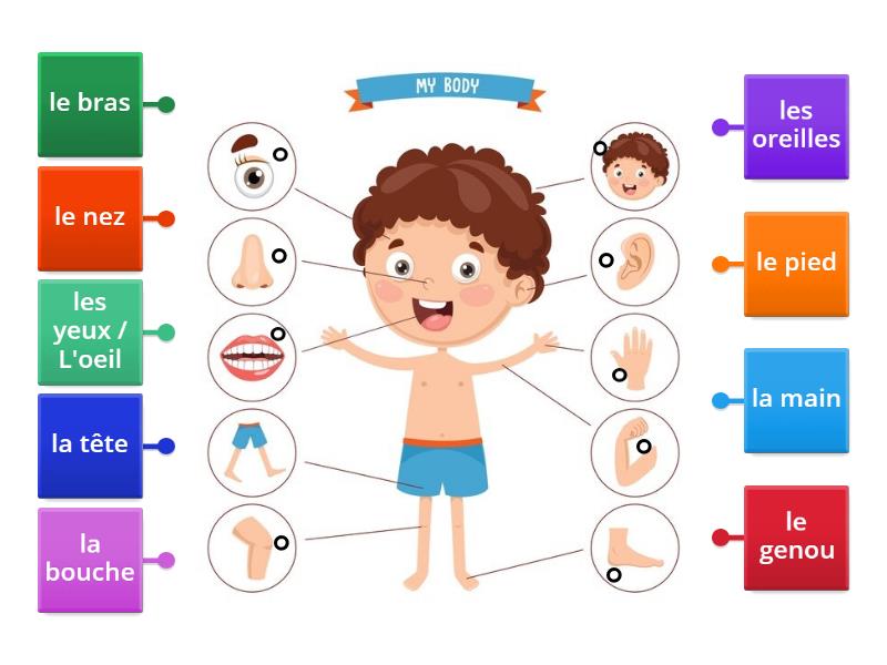 French body parts - Labelled diagram