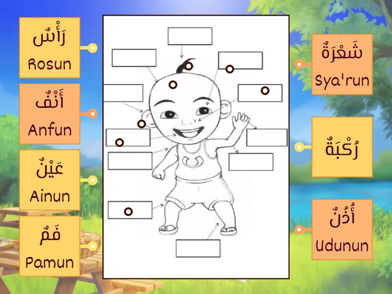 Nama Anggota tubuh dalam bahasa arab - Labelled diagram