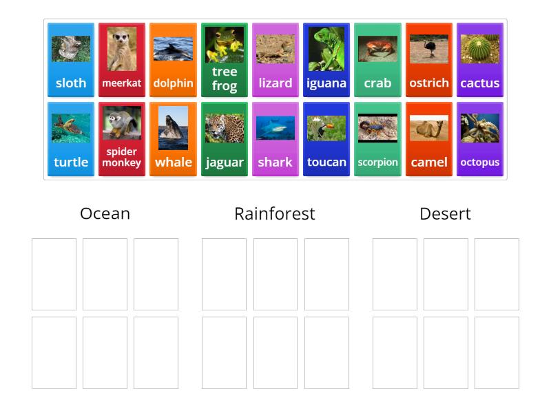Grade 1 World Habitats Sorting Game Group sort