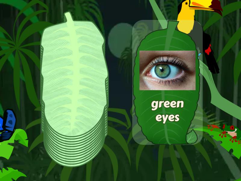 Physical Appearance Speaking Cards