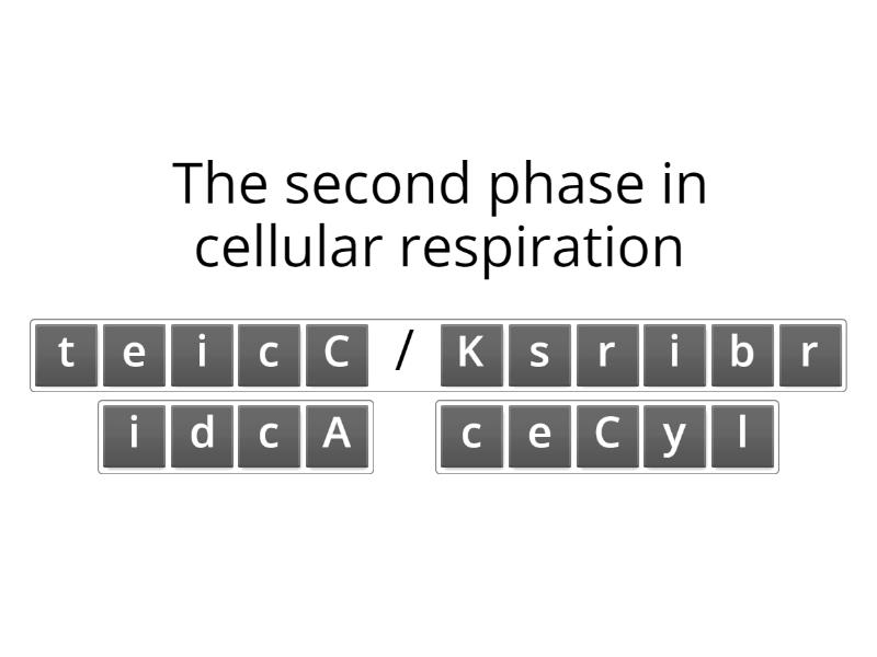 Cellular Respiration and Enzymes - Anagram