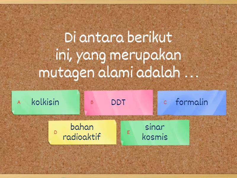 ASESMEN AWAL PEMBELAJARAN MATERI MUTASI XII MIPA 2 - Quiz