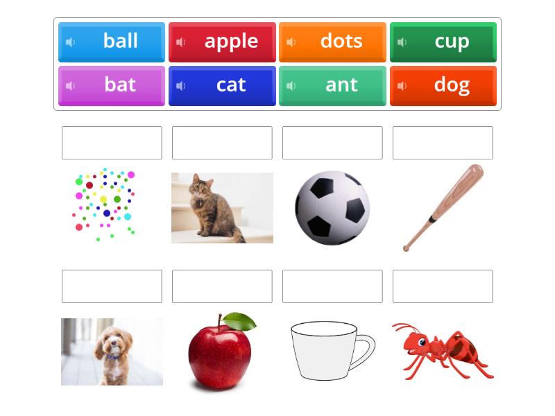 A-D vocabulary level 1 - Match up