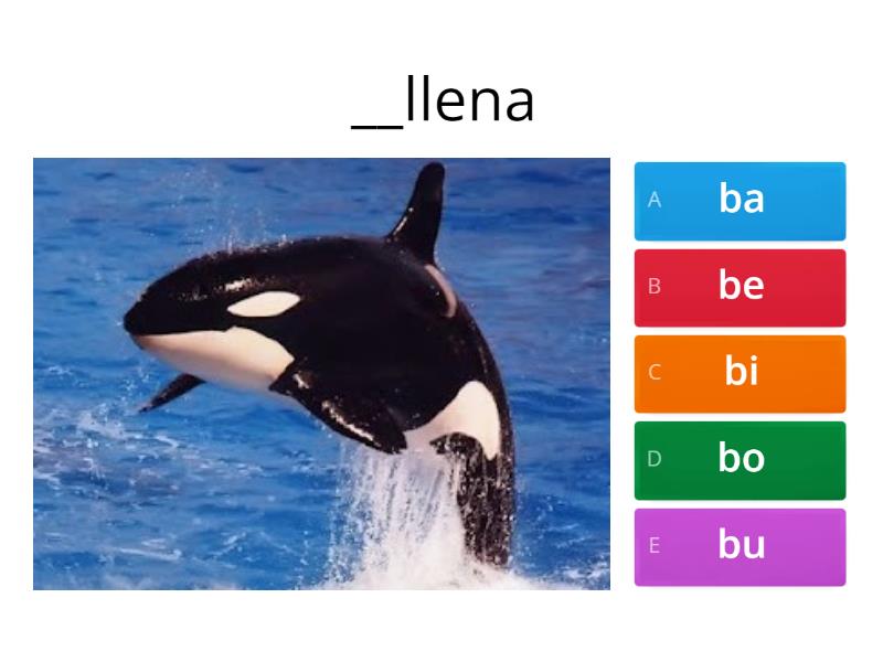 Reconocer Sílabas Ba Be Bi Bo Bu - Quiz