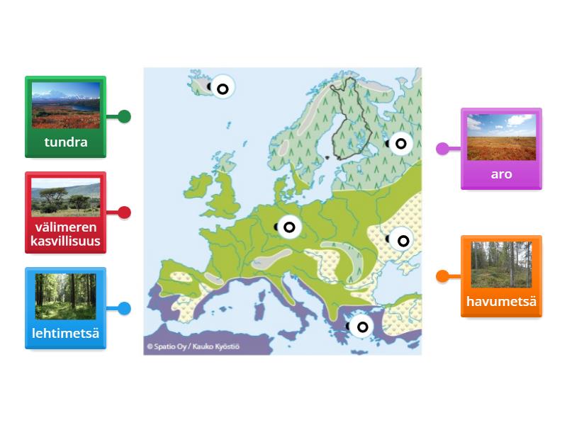 Euroopan Kasvillisuusalueet Labelled Diagram
