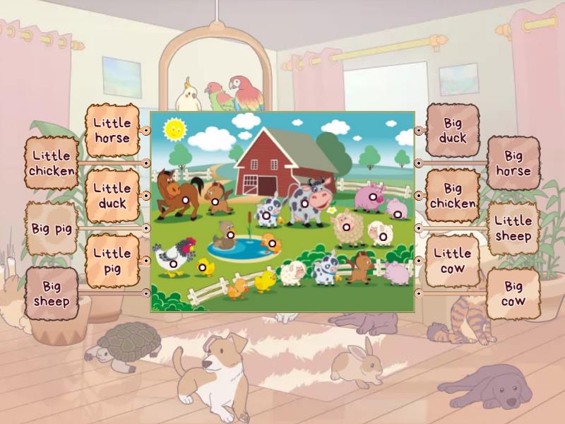 Farm animals - Labelled diagram