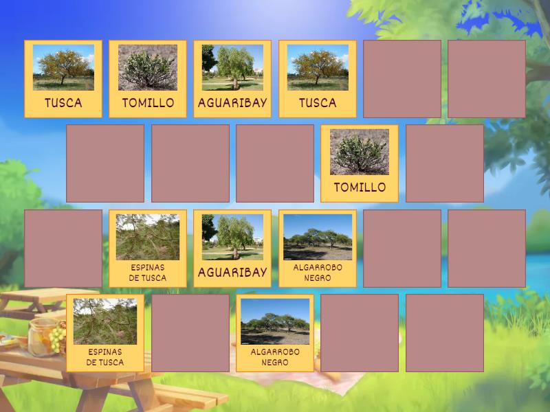 PLANTAS AUTOCTONAS DEL BOSQUE NATIVO - Matching pairs