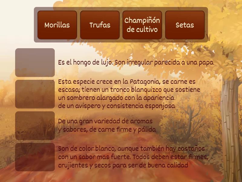 Tipos de Hongos Match up