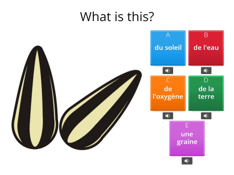 What do plants need to grow? (French) - Quiz