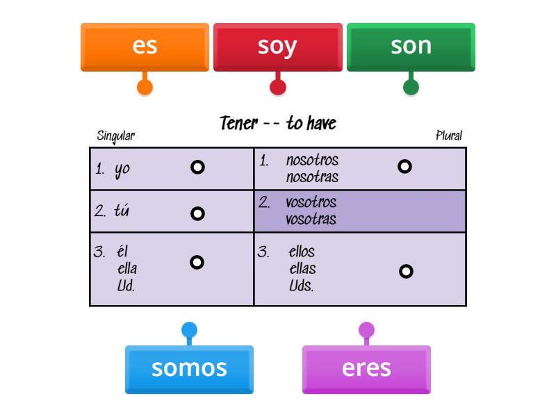 Activity 1 SER Verb Chart - Labelled diagram