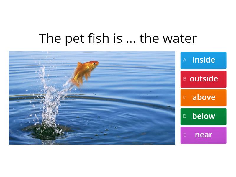 Prepare NUS 5. Unit 13. Prepositions. inside, outside, above, below ...