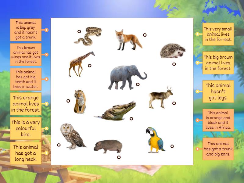 Animals and body parts - Labelled diagram