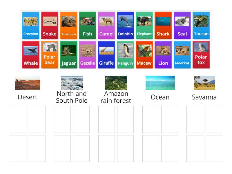Animals and ecosystems - Group sort