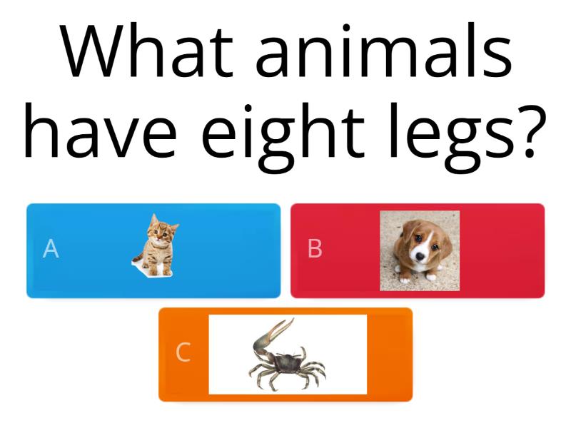 Animals Quiz