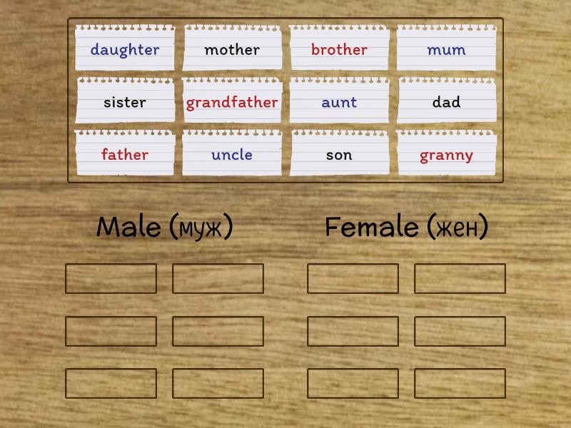 Group the words under. Seasons and months.