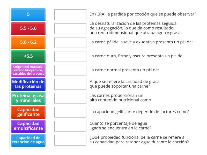 Unir con la respuesta correcta - Une las parejas