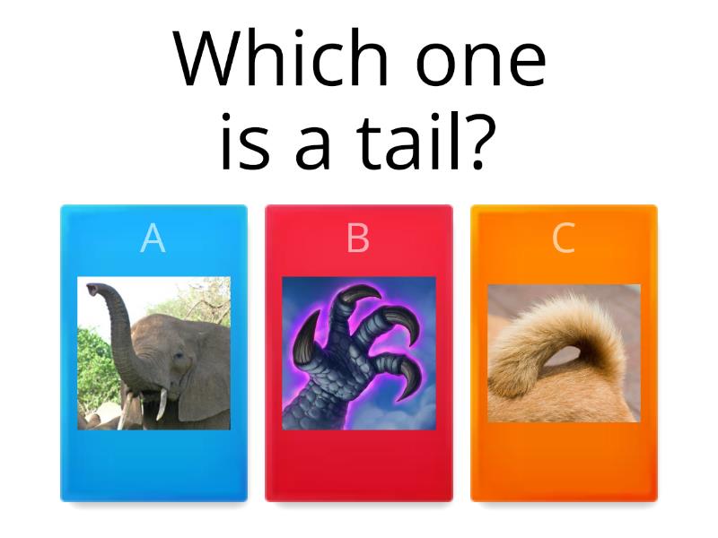 animals-and-body-parts-quiz