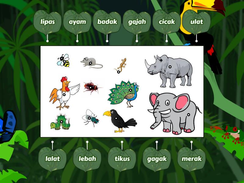 Suaikan Nama Haiwan Dengan Betul - Labelled diagram