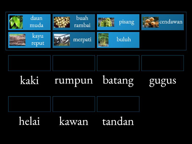 Penjodoh Bilangan Tahun 3 Jilid 2 Match Up