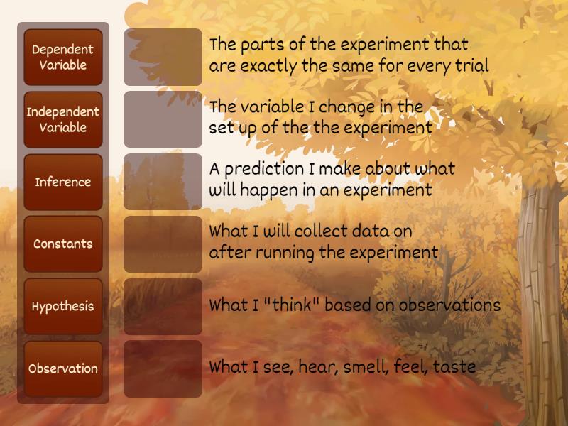 experiment vocabulary