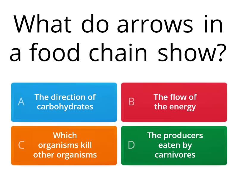 food-chain-and-food-web-starter-quiz