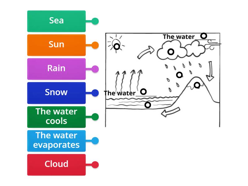 Water Cycle- Label Illustration - Labelled diagram