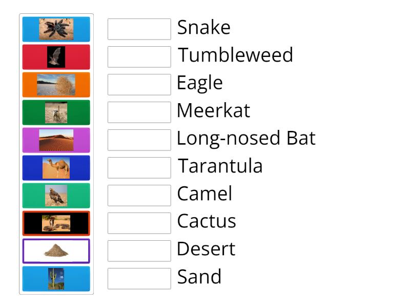 Desert - Match up