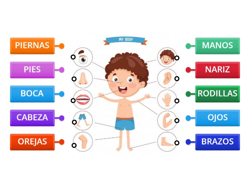 Las partes de tu cuerpo - Labelled diagram