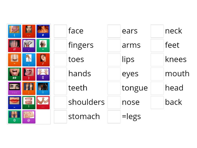 Parts Of The Body - Match Up